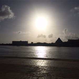 Meet your Posher, Sue